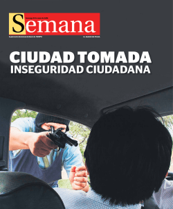 INSEGURIDAD CIUDADANA