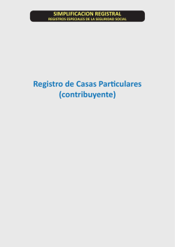simplificacion registral