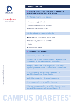 M&oacute;dulo avanzado I - Campus Diabetes