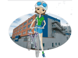 Consejo de Meissenita