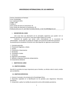 Programa - Dr. Jos&eacute; Fabio Fern&aacute;ndez Alem&aacute;n.