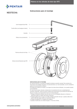 Neotecha Ball Valves, Model NTB/NTC