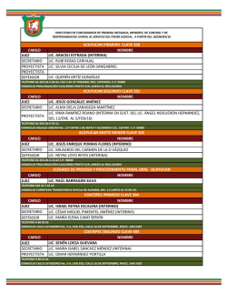 cargo nombre juez lic. araceli estrada