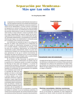 Separaci&oacute;n por Membrana&ndash; M&aacute;s que tan s&oacute;lo OI