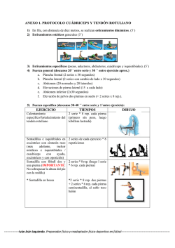 recuperaci&oacute;n de tendinitis del tend&oacute;n rotuliano