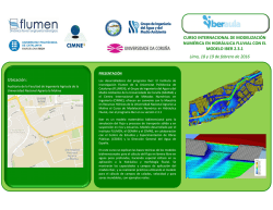 CURSO INTERNACIONAL DE MODELIZACI&Oacute;N NUM&Eacute;RICA EN