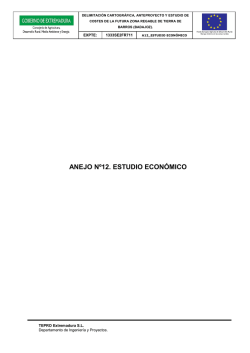 ANEJO N&ordm;12. ESTUDIO ECON&Oacute;MICO
