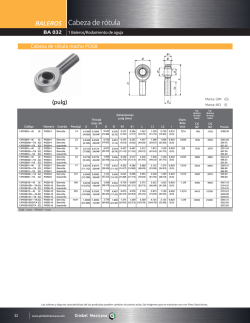 Cabeza de r&oacute;tula
