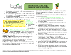 Entrenamiento de Campo