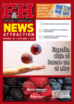 Espa&ntilde;a deja el hueso en el aire