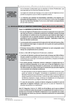 TEMA XIII, P&Aacute;G. 22