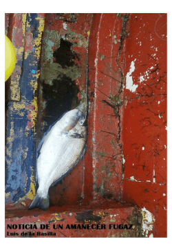 pulsa aqu&iacute; - Proyecto INTER/SUR PARA LA ECOCIUDADAN&Iacute;A