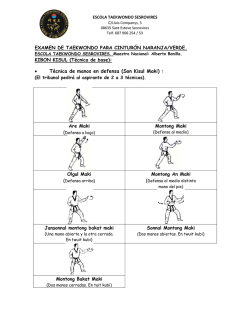 &bull; T&eacute;cnica de manos en defensa (Son Kisul Maki) :