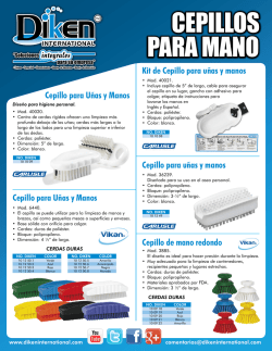 Cepillo de Mano
