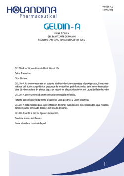 FICHA T&Eacute;CNICA GEL SANITIZANTE DE MANOS REGISTRO