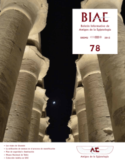 Descargar bolet&iacute;n en formato PDF