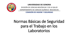 Normas B&aacute;sicas de Seguridad para el Trabajo en los Laboratorios