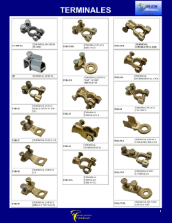 TERMINALES