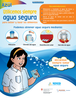 Afiches Buenas Pr&aacute;cticas Higi&eacute;nicas Sanitarias