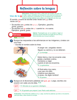 Reflexi&oacute;n sobre la lengua