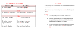 SINGULIER PLURIEL El chico guapo Los chicos guapos MAIS El