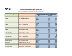D&iacute;as Horarios DISPONIBILIDAD HORARIA DE ATENCI&Oacute;N