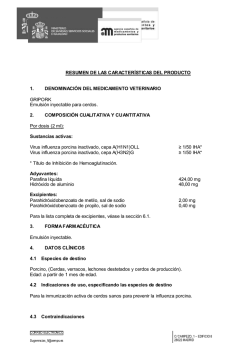 FICHA T&Eacute;CNICA GRIPORK