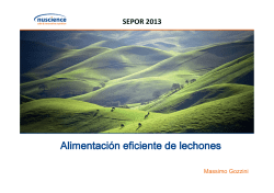 Alimentaci&oacute;n de lechones