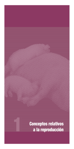 Cap&iacute;tulo promocional