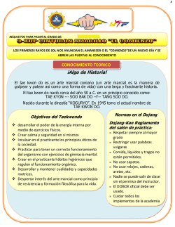 Requisitos Cintur&oacute;n Amarillo