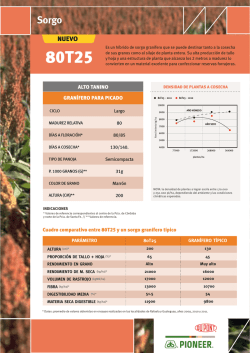 ALTO TANINO GRAN&Iacute;FERO PARA PICADO Cuadro