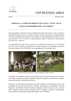 UEP BUENOS AIRES