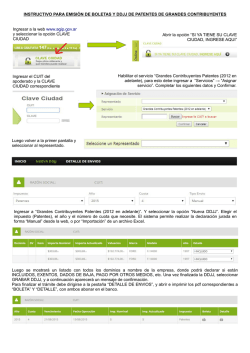 Instructivo Grandes Contribuyentes
