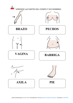 BRAZO PECHOS VAGINA BARRIGA AXILA PIE