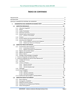 PDM 2015-2019 - Gobierno Autonomo Municipal Buena Vista