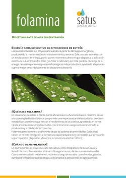 Energ&iacute;a para su cultivo en situaciones de estr&eacute;s &iquest;Qu&eacute; hace folamina?