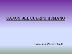 Canon del cuerpo humano