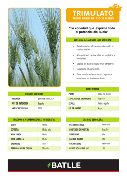 Trigo Duro TRIMULATO
