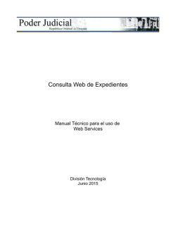 Gu&iacute;a para acceso mediante Web Services