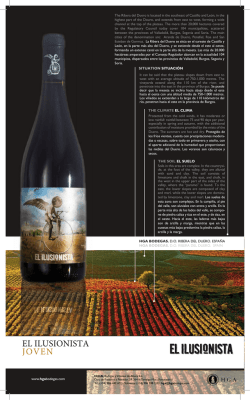 EL ILUSIONISTA JOVEN - Distribuciones Plata