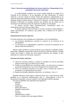1 1 Tema 1: Recuerdo anatomofisiol&oacute;gico del sistema endocrino