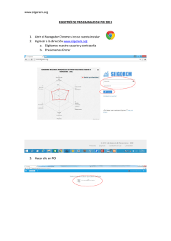 Manual de Programaci&oacute;n del POI