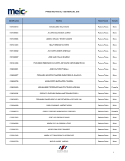 Identificaci&oacute;n Nombre Raz&oacute;n Social Tama&ntilde;o 0101030013