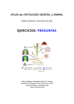 EJERCICIOS: PREGUNTAS - Atlas de Histolog&iacute;a Vegetal y Animal