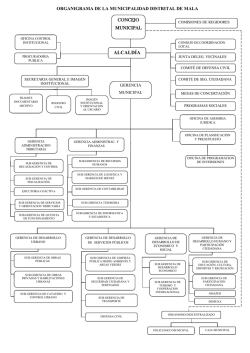 ORGANIGRAMA DE LA MUNICIPALIDAD DISTRITAL DE MALA