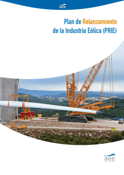 plan PRIE - Asociaci&oacute;n Empresarial E&oacute;lica