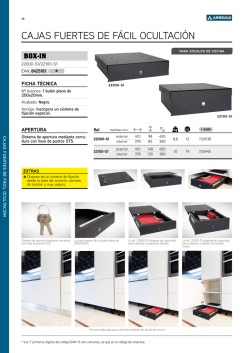 CAJAS FUERTES DE F&Aacute;CIL OCULTACI&Oacute;N