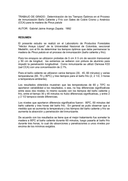 Inmunizaci&oacute;n de la Madera de P&aacute;tula con Sales CCA