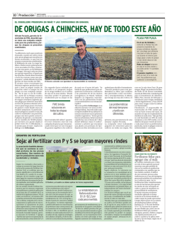 noviembre infocampo impreso