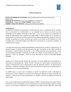 T&eacute;rminos de Referencia PUESTO Y/O NOMBRE DE LA ACTIVIDAD